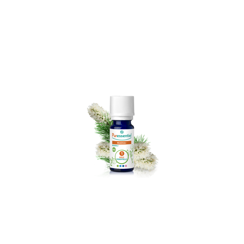 Huile Essentielle de Niaouli Bio - 10ml