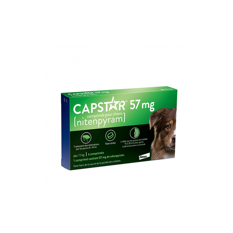 CAPSTAR Anti puces Chien de plus de 11kg - 6 comprimés